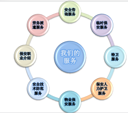 稳步致远的护航者 论泰安市泰山联合保安服务与社会经济咨询服务的融合价值